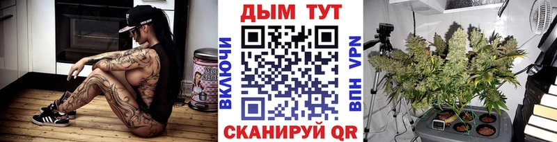 Купить закладки  Каргополь  Шишки марихуана Bruce Banner 
